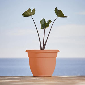 Ariana Self Watering Resin Planter 8 in. Muted Terra Cotta - Kenner Habitat for Humanity ReStore