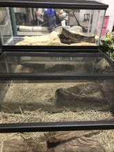 Load image into Gallery viewer, Terrarium - Kenner Habitat for Humanity ReStore
